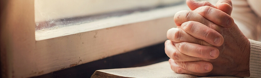 The SonShine Program - Hands Folded In Prayer